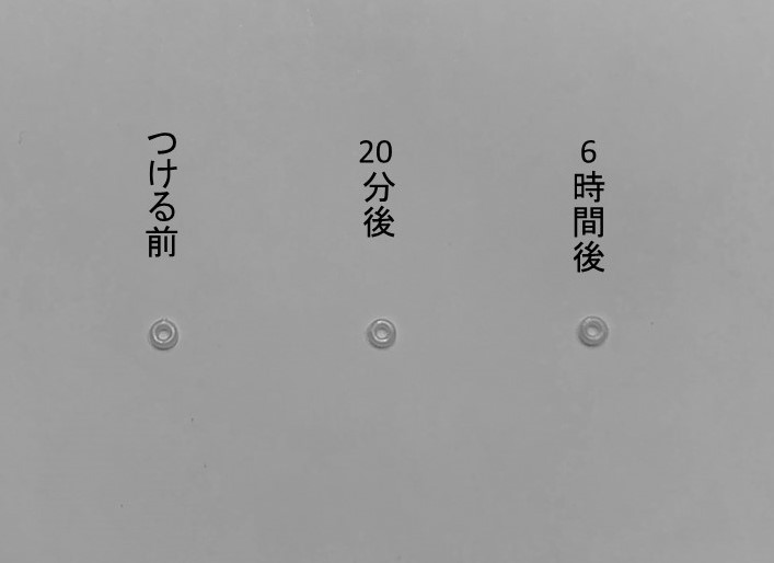 ホワイトカレー実験